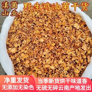 野生鸡油菌干货 黄丝菌云南山珍美食用有杏仁香味香菇正品保障
