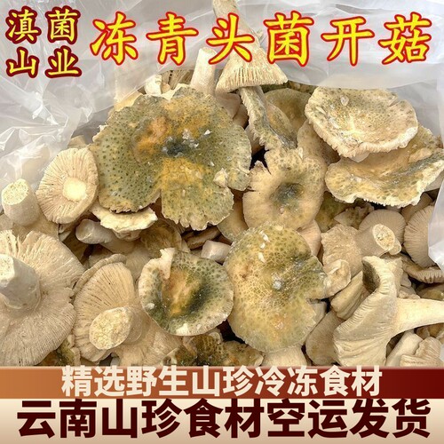 冰鲜冻野生青头菌开菇云南山珍