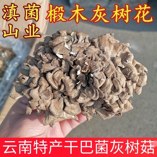 干巴菌灰树花云南特产干货山珍精选香菇特级正品保障包邮云南菌子