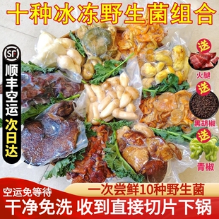 新鲜冰冻野生菌组合松茸鸡油菌白葱牛肝菌谷熟菌虎掌菌青头菌子
