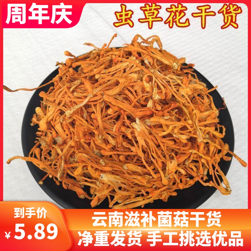 虫草花干货 煲汤材料虫草菇金虫草北虫草100克非新鲜包邮正品保障 粮油调味/速食/干货/烘焙 香菇类 原图主图