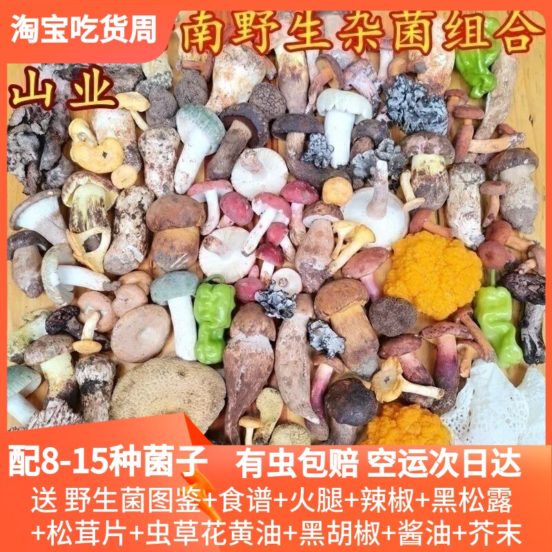 新鲜云南野生杂菌组合两斤松露见手青松茸红菇鸡枞青头牛肝菌美食