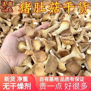 猪肚菇干货 一斤装500克包邮山珍美食农产品土特产香菇云南菌子