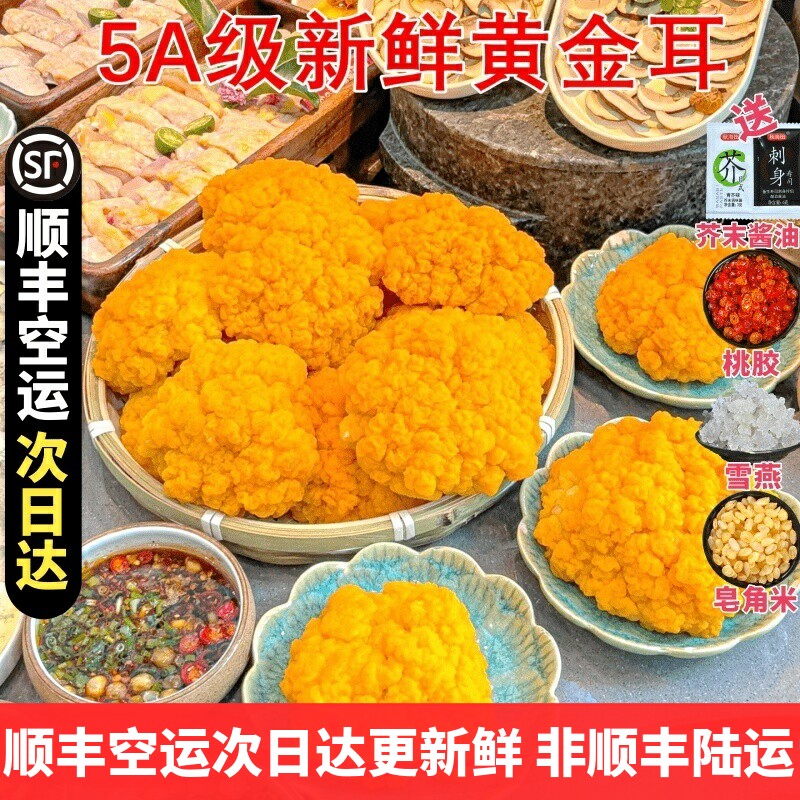新鲜金耳菌 礼盒装顺丰空运发货云南特产刺身山珍胶原蛋白生鲜