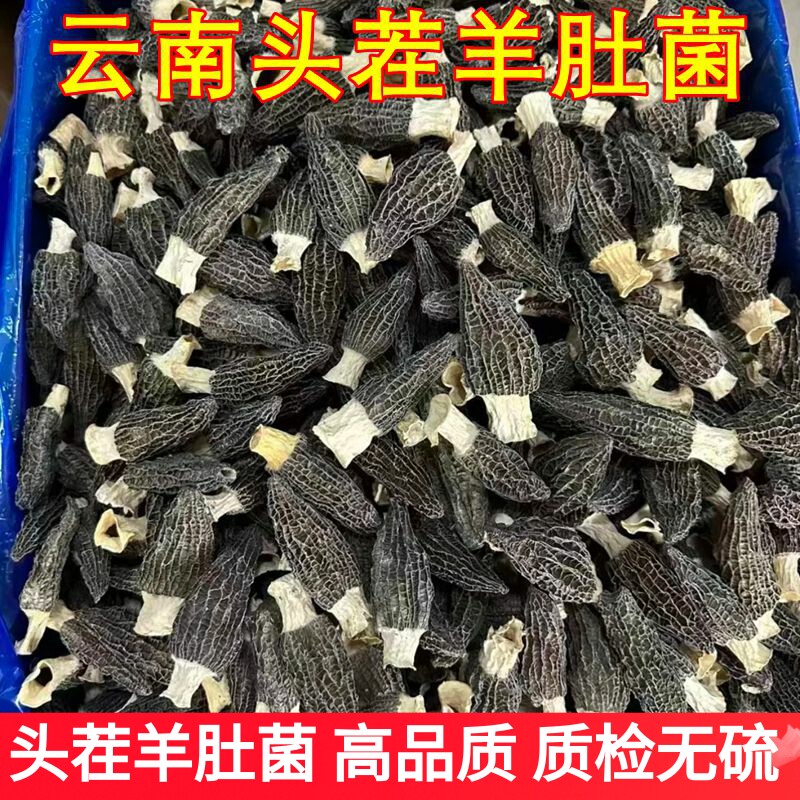 精品羊肚菌高原干货 云南山珍装煲汤鲜美香菇食用农产品汤料报
