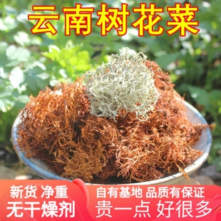 云南树花菜大理特产野生干 山珍煲汤鲜美红烧好吃特产香菇酒店用