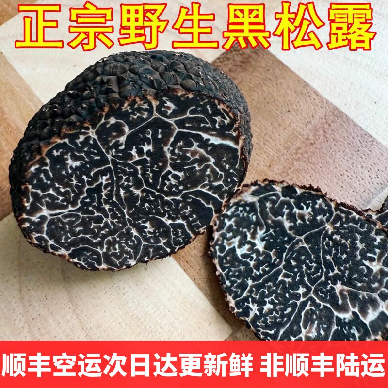 黑松露菌新鲜野生 云南菌子山珍块菌特产成熟顺丰次日达美食稀有