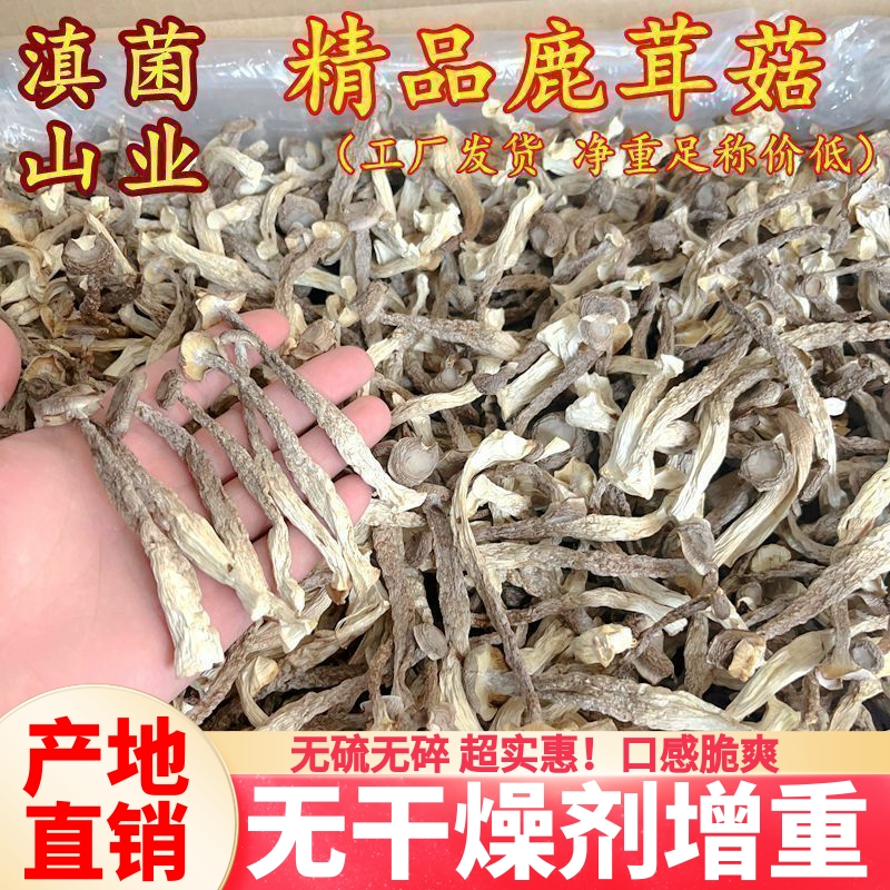 新鲜鹿茸菇干货 云南特产菌子山珍250克鹿茸菌云南特产包装蘑菇