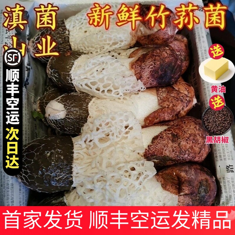 新鲜竹荪菌云南特产野生织金短裙红托鲜竹笙蘑菇500g空运包邮正品