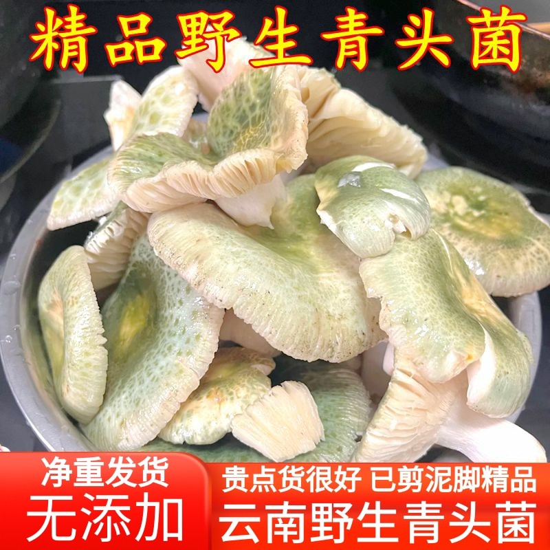 野生青头菌干货【精品去泥】 山珍美食农产品野生菌云南菌子蘑菇,粮油调味/速食/干货/烘焙,香菇类,淘宝优惠券,粉丝福利购,淘宝优惠卷