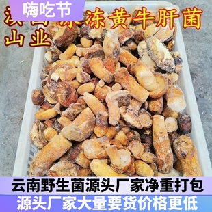 冷冻黄牛肝菌 云南野生菌山珍蘑菇香菇食用农产品味道鲜美空运发
