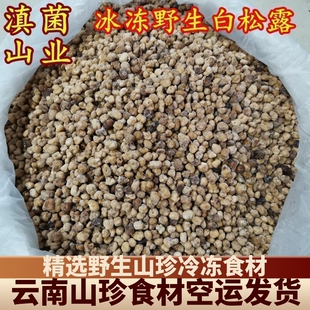 冰冻白松露 云南野生菌冻松露收到会解冻变软颜色微黄 介意谨慎