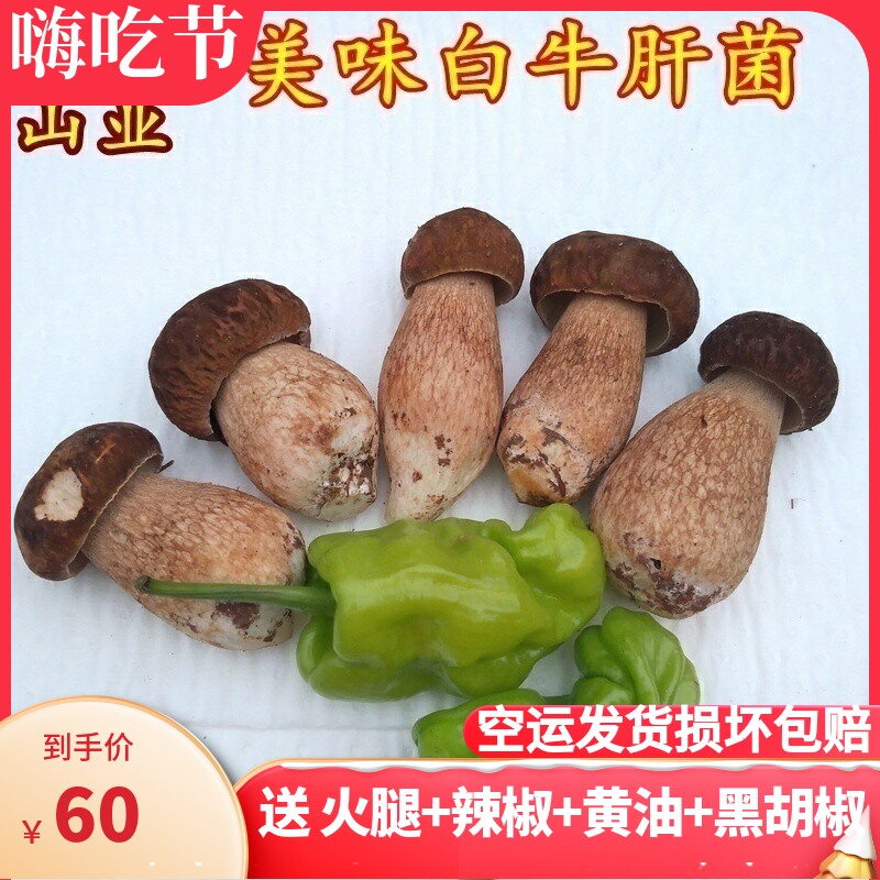 牛肝菌新鲜野生 云南特产野生山珍蘑菇空运发货美味牛肝菌食香菇