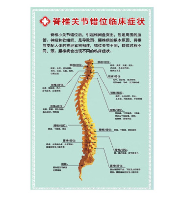 脊椎关节错位临床症状医学骨科挂图人体骨骼结构展板人体解剖海报