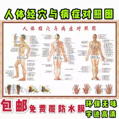 经络穴位病症对照图图解海报挂图