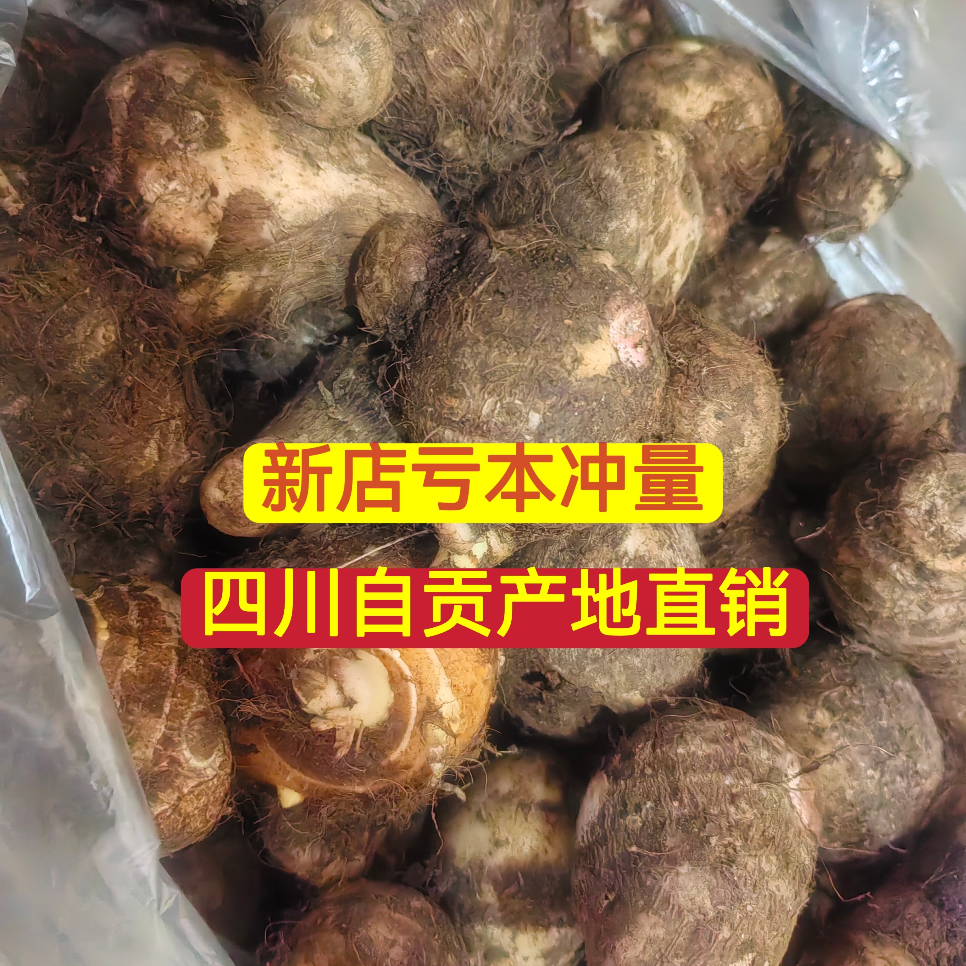 四川新鲜牛奶小芋头香芋现挖毛芋头芋艿当季农家芋仔应季蔬菜批发