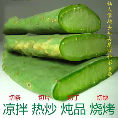 天然仙人掌种植盆栽院子结果花可生吃食用可药用外敷防辐射仙人掌