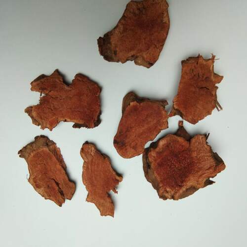 红土茯苓野生仙遗粮毛尾薯过山龙 硬饭刺猪苓地胡苓狗老薯饭闭根
