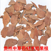 包邮 牛虱子果根羊奶头农家自晒500g 羊奶果根 贵州野生羊山咪树根