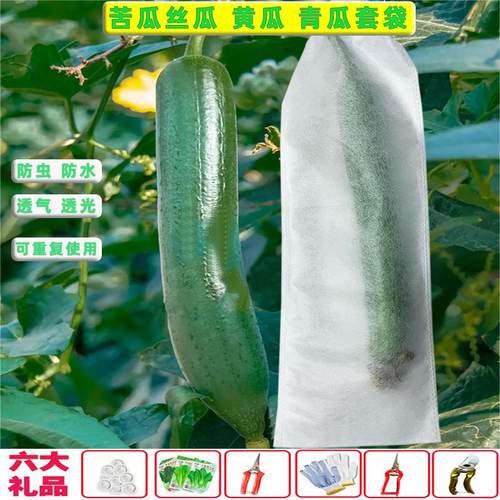 无纺布苦瓜丝瓜黄瓜套袋厂家批发
