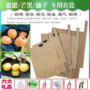 枇杷专用套袋桃子苹果柚子石榴芒果李子防水防鸟防虫透气双层梨袋