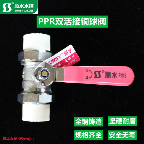 顺水双活接球阀ppr开关热熔4分20