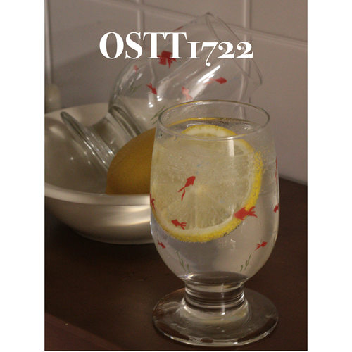 〈Goldfish金鱼杯〉OSTT1722原创玻璃清透夏日ins冷饮高脚玻璃杯