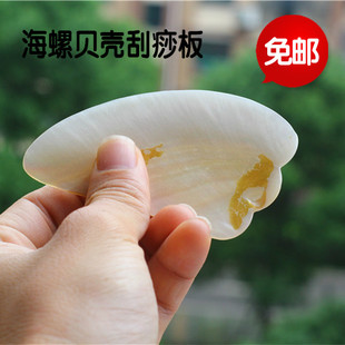 包邮天然海螺贝壳珍珠蚌壳刮痧板 美容按摩 创意保健礼品纪念品