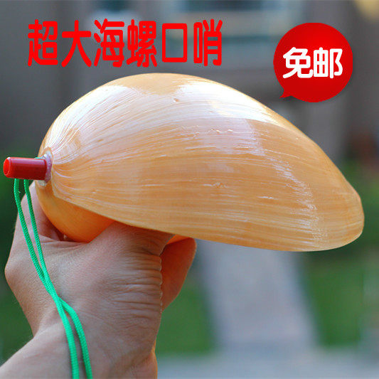 包邮天然超大海螺贝壳工艺螺号吹螺瓜螺吹 号角口哨可做盆栽