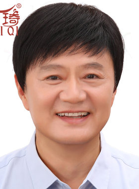 瑞琦全头套真人发丝中老年韩版