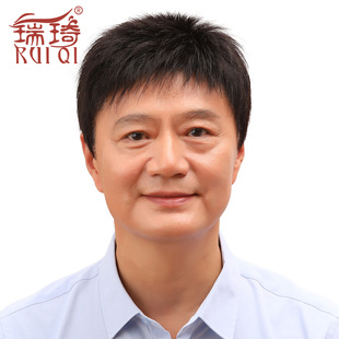 假发男短发毛寸头递针手织帅气中老年真人发丝平头真发白短直发套