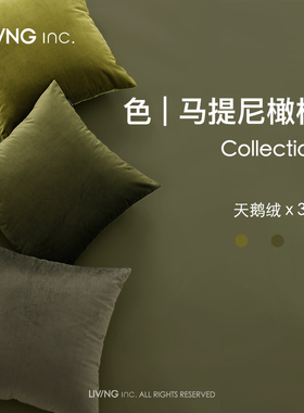 LIVING inc.橄榄天鹅绒 墨绿色抱枕沙发客厅轻奢复古靠枕床头靠垫