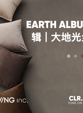 LIVING inc.大地天鹅绒 棕色ins抱枕沙发客厅轻奢靠垫床上靠枕套