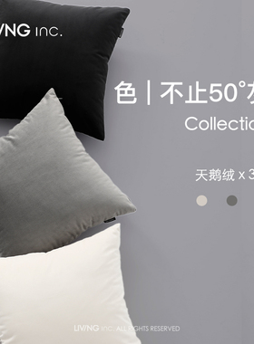 LIVING inc.黑白灰色 天鹅绒抱枕现代简约沙发客厅靠垫办公室腰靠