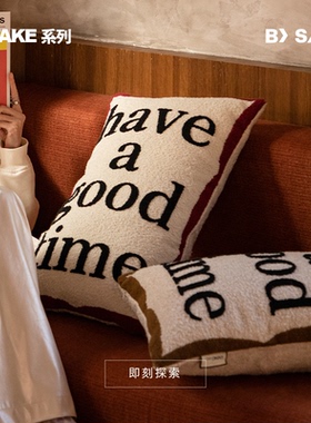 LIVING inc祝愉快 法式中古刺绣抱枕高级设计感客厅沙发靠垫腰枕