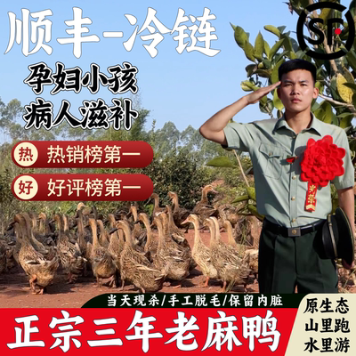 农家三年老麻鸭新鲜现杀顺丰直达