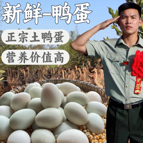 兵哥土鸭蛋新鲜生鸭蛋农家散养