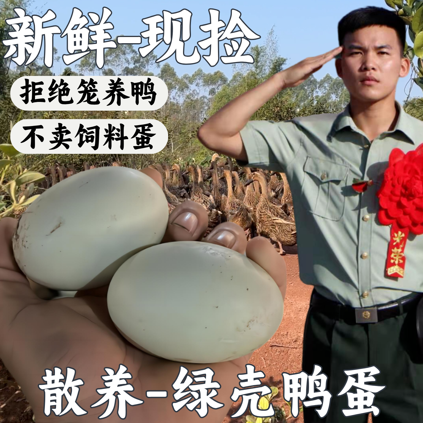 兵哥新鲜绿壳鸭蛋土鸭蛋农家蛋散养土麻鸭蛋农场现捡现发整箱发货,水产肉类/新鲜蔬果/熟食,鸭蛋,淘宝优惠券,粉丝福利购,淘宝优惠卷