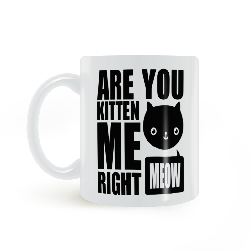 Are You Kitten Me Right Meow 你是在逗我吗 猫咪爱好者 马克杯