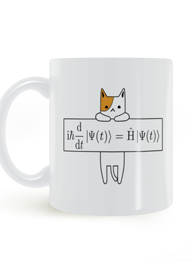 量子力学 薛定谔方程 Schrödinger equation 物理学生专业马克杯