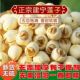 建宁莲子正品 农家手工无硫去皮干货煲汤