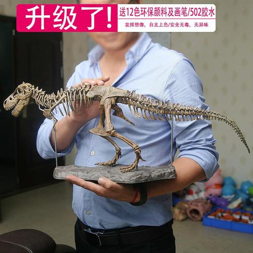 恐龙骨架模型拼装玩具