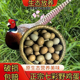 【抖音同款】正宗七彩野鸡蛋新鲜宝宝辅食 杂粮散养土鸡蛋山鸡蛋