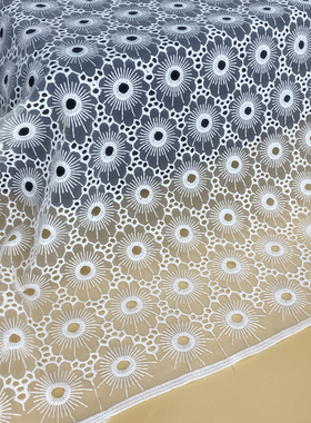 铜钱网花牛奶丝刺绣水溶蕾丝布料网纱/婚纱拍摄背景面料宽1.3米