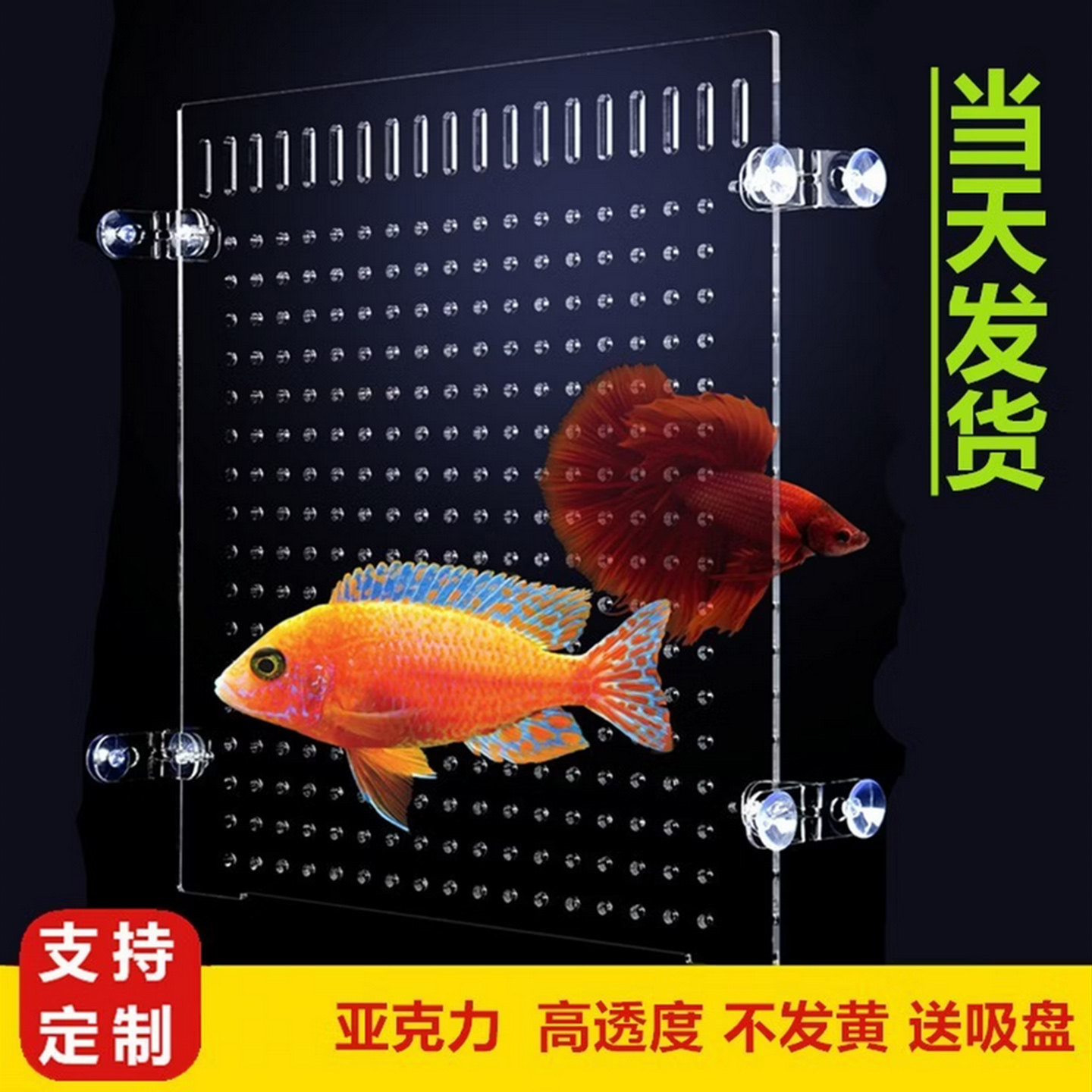 亚克力透明鱼缸隔离板定制图片
