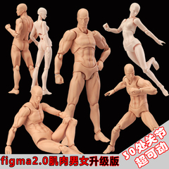figma素体美术人体模型玩具日本人偶关节可动成人绘画肌肉shf素体