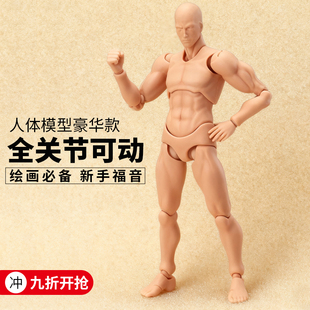 绘画神器关节升级款figma素体1/12人体模型关节可动绘画肌肉人偶