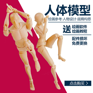 人体模型关节超可动大素体男女动漫漫画参考素描手办美术绘画人偶