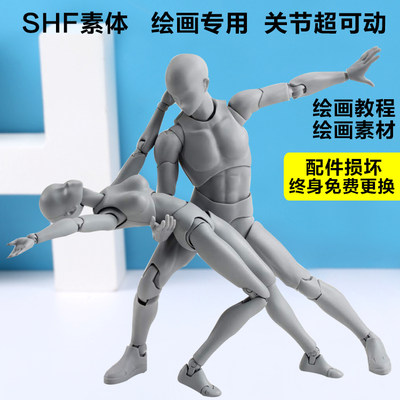 人体模型动漫关节可动人偶