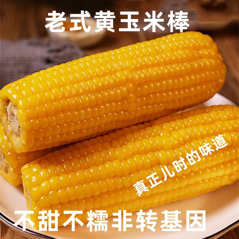 黄老玉米笨玉米老式品种非转基因无需加热即食熟玉米一份五斤小棒